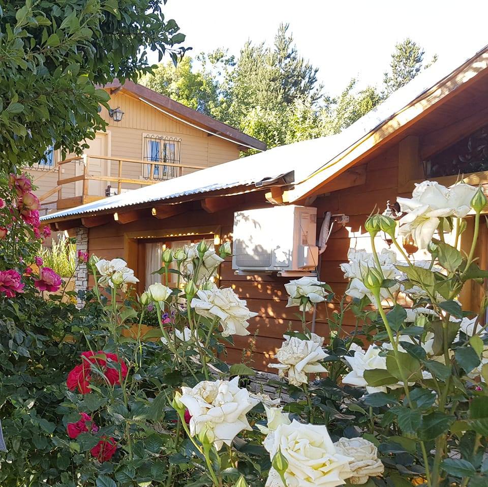 Imagen 4 del servicio